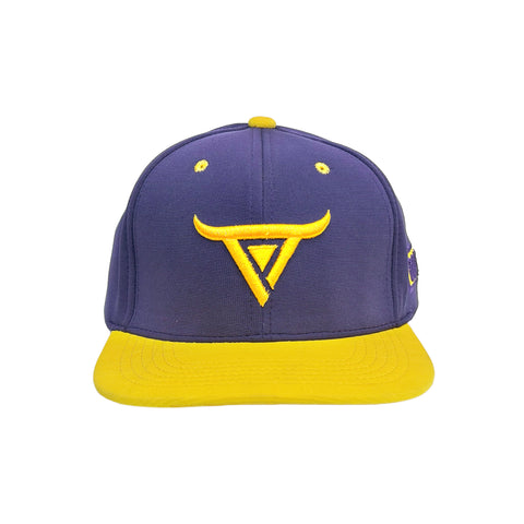 Unisex Regular Flat Cap